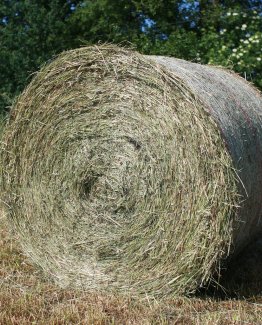 Heu Rundballen